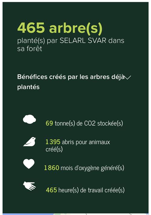 465 arbres plantés avec Reforestaction